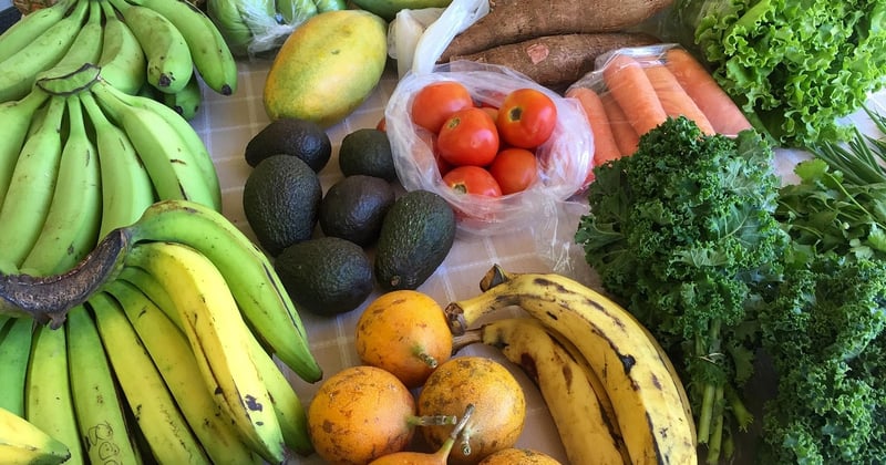 Mangez mieux, vivez mieux : le guide de l’alimentation anti-inflammatoire naturelle